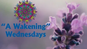 A Wakening Wednesday
